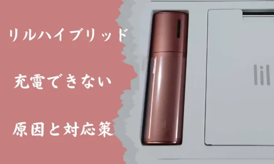 リルハイブリッド 充電できない原因と対応策