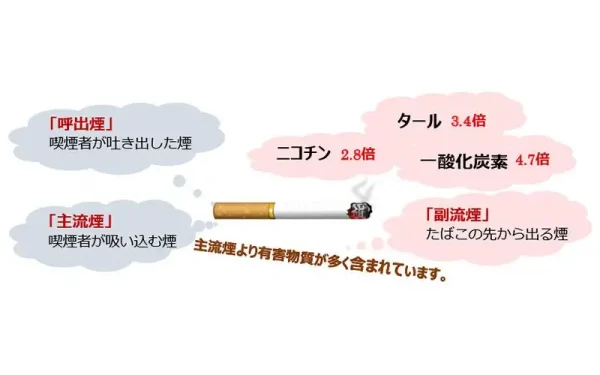 Suel 体に悪い：紙巻きタバコ