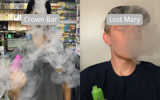 【電子タバコ好き必見】Al Fakher VS Lost Mary|どっちを買うべき?5つの違いを徹底比較! | VapePenZone Japan 【電子タバコ好き必見】Al Fakher VS Lost Mary|どっちを買うべき?5つの違いを徹底比較! | VapePenZone Japan
