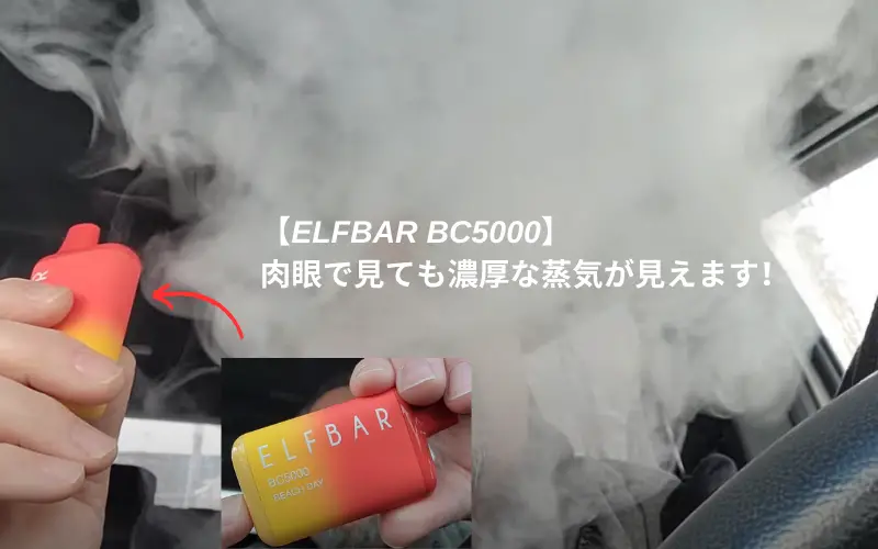 【ELFBAR BC5000】目に見える濃厚な霧！