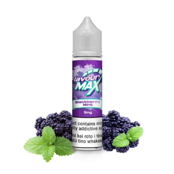 FlavourMax Freebase リキッド 60ml - Blackberry Mint（ブラックベリーミント） | VapePenZone Japan