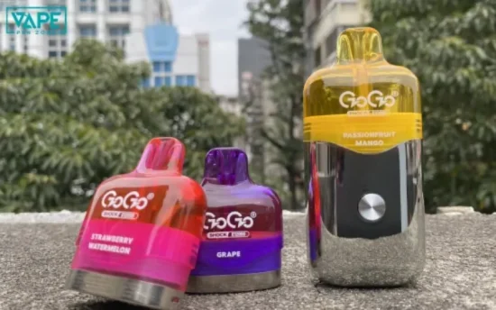 GOGO Shock E12000 Kit
