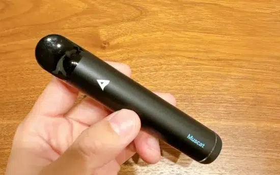 【100人が選んだ】電子シーシャ ドンキで買える15選 | 味・吸い心地を徹底評価 | VapePenZone Japan Air Mist 持ち運びシーシャ 電子シーシャ ドンキ