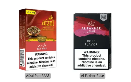 【シーシャ好き必見】パンラズナ シーシャとは?5つの人気フレーバー組み合わせを紹介 | VapePenZone Japan 【シーシャ好き必見】パンラズナ シーシャとは?5つの人気フレーバー組み合わせを紹介 | VapePenZone Japan