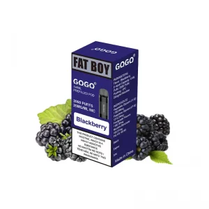 blackberry GOGO Fatboy 2000 pod Japan