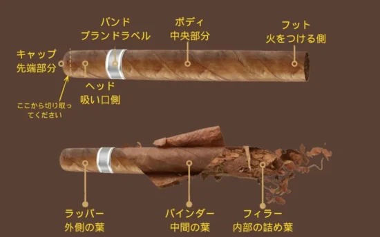 【初心者必見】葉巻の吸い方とは?|葉巻の吸い方を6ステップで徹底解説(道具・火の付け方・保存まで) | VapePenZone Japan 【初心者必見】葉巻の吸い方とは?|葉巻の吸い方を6ステップで徹底解説(道具・火の付け方・保存まで) | VapePenZone Japan