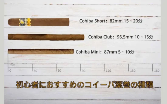 【初心者必見】葉巻の吸い方とは?|葉巻の吸い方を6ステップで徹底解説(道具・火の付け方・保存まで) | VapePenZone Japan 【初心者必見】葉巻の吸い方とは?|葉巻の吸い方を6ステップで徹底解説(道具・火の付け方・保存まで) | VapePenZone Japan