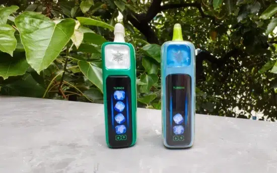 【購入前必見】GOGO VS ELFBAR Ice King 比較|機能・吸い心地・フレーバーでおすすめはどっち? | VapePenZone Japan 【購入前必見】GOGO VS ELFBAR Ice King 比較|機能・吸い心地・フレーバーでおすすめはどっち? | VapePenZone Japan