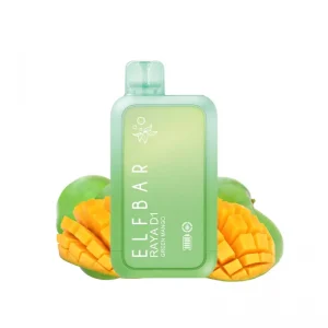 ElfBar BC10000 (Raya D1 Dinmol) - グリーンマンゴー (Green Mango)