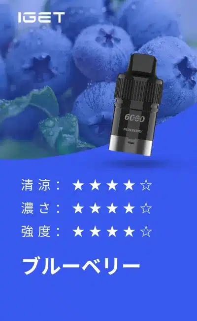 IGET Bar Plus Pod 6000 Puffs Blueberry