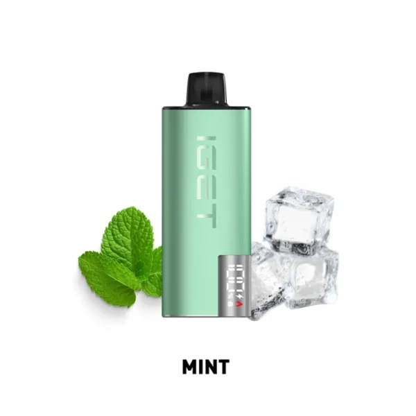 IGET EDGE LP10000 KIT - ミント（Mint）