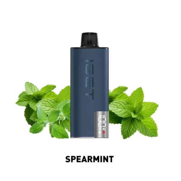 IGET EDGE LP10000 KIT - スペアミント（Spear Mint） | VapePenZone Japan