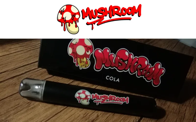 マッシュルームシーシャとは？味の人気ランキング、値段、評判、使い方