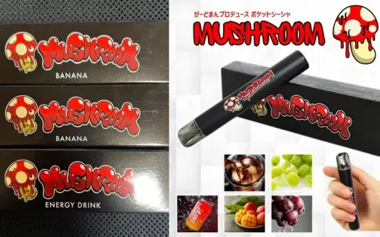 マッシュルームシーシャとは?味の人気ランキング、値段、評判、使い方を徹底解説 | VapePenZone Japan マッシュルームシーシャ