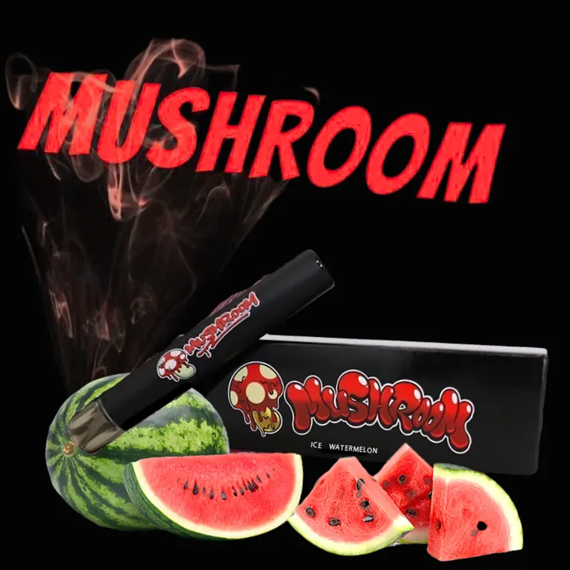 マッシュルームシーシャとは?味の人気ランキング、値段、評判、使い方を徹底解説 | VapePenZone Japan マッシュルームシーシャ – アイススイカ(Ice Watermelon)