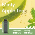 relx waka sopro pa10000 minty apple tea