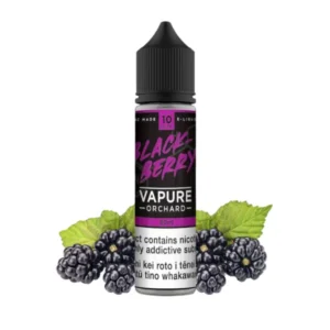 Vapure Freebase リキッド 60ml – ブラックベリー(Blackberry)