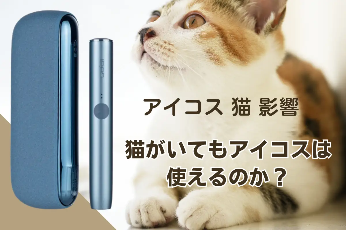 【アイコス 猫 影響】猫がいてもアイコスは使えるのか？