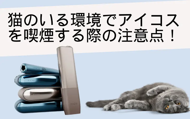【アイコス 猫 影響】猫がいてもアイコスは使えるのか：猫のいる環境でアイコスを喫煙する際の注意点